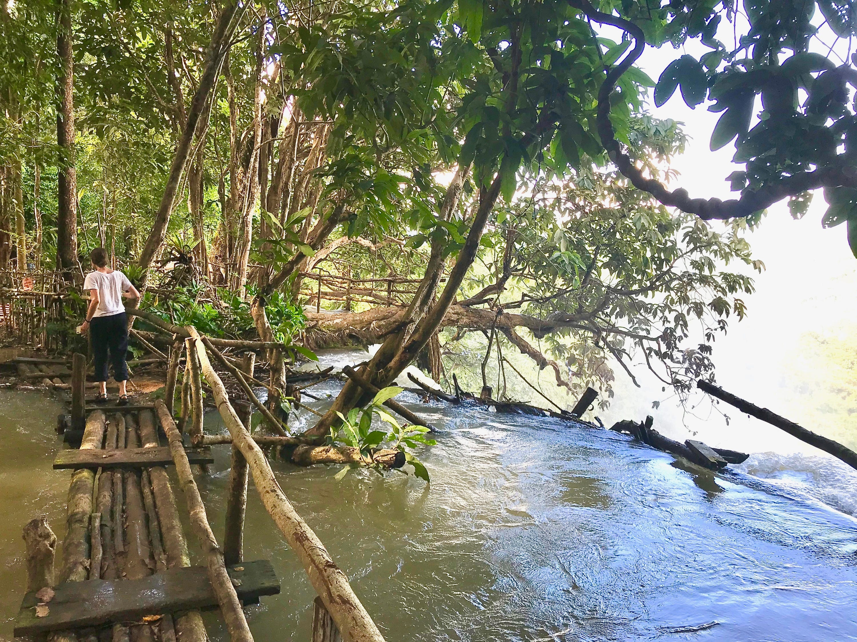 The top of Kuang Si, hiking around