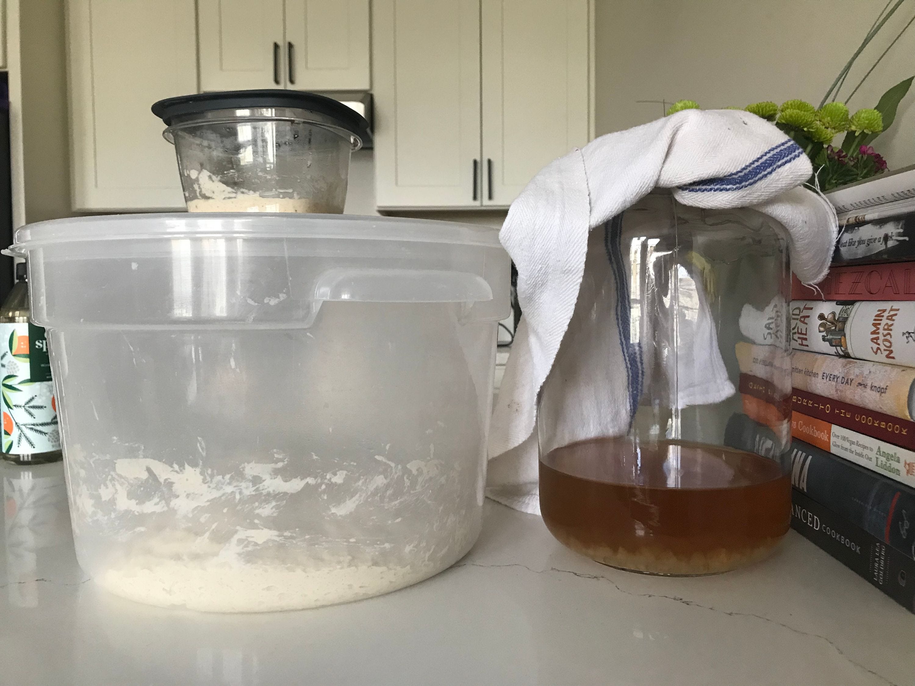 Sourdough and water kefir