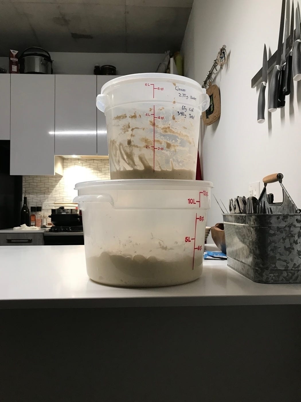 The starter fermenting