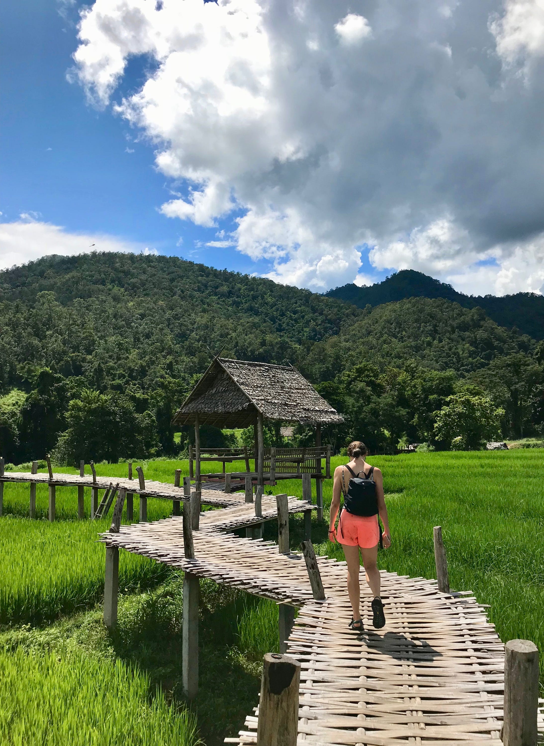 Bamboo steps